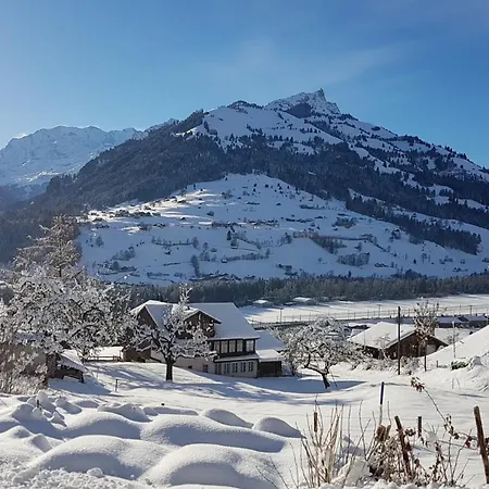 Baergblick