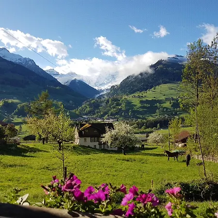Appartement Baergblick